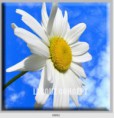 /album/photo-gallery-canvas-uri/decoratiuni-de-perete-canvas-lc-0892-jpg/